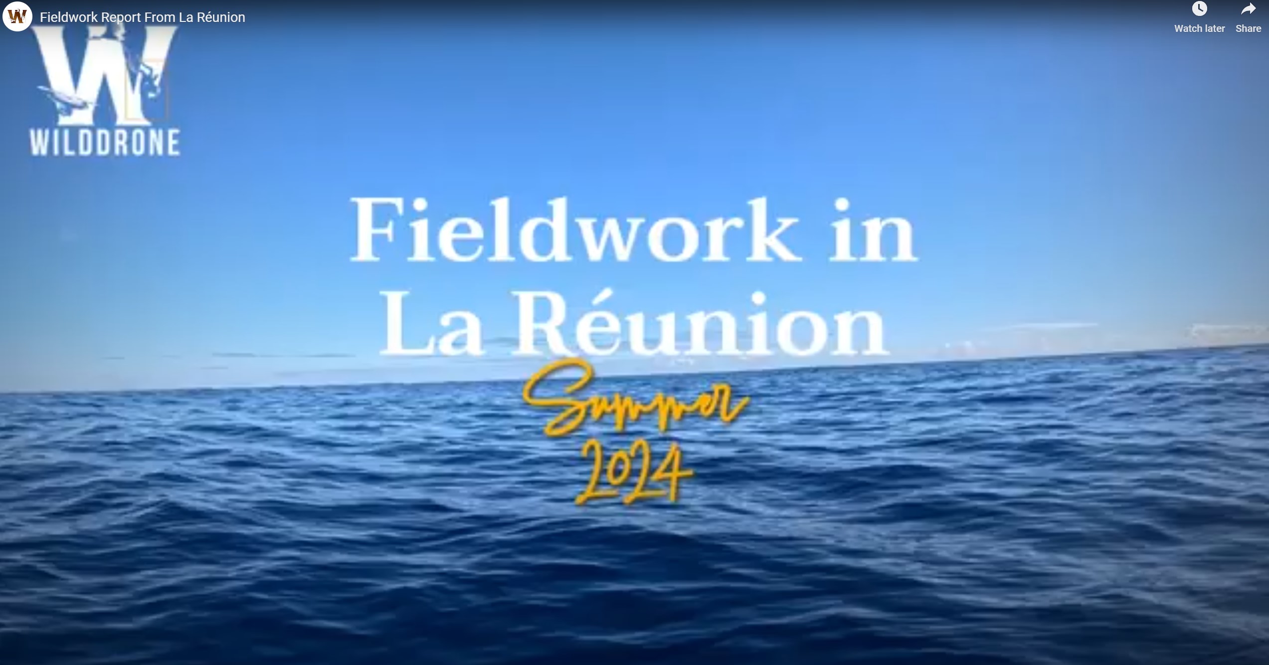 Fieldwork report from La Reunion