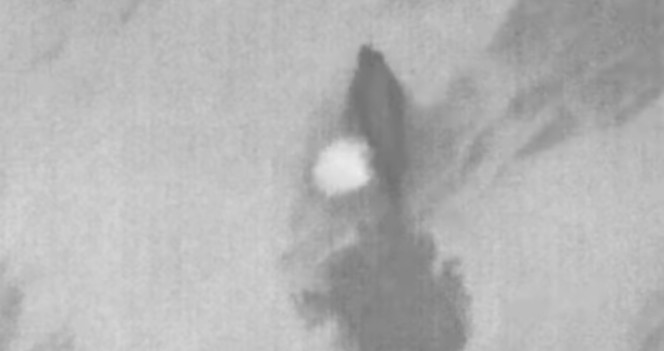 Thermal tracks of a humpback whale